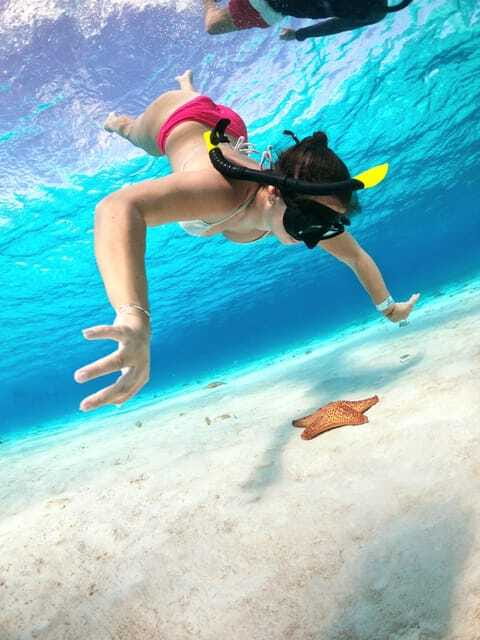 The Cozumel Turtle Sanctuary Snorkel Tour - Getting to the dock: pickup that won’t waste your time