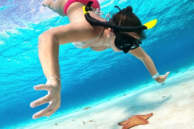 The Cozumel Turtle Sanctuary Snorkel Tour - The 4-hour itinerary: Colombia Reef, Palancar Reef, El Cielo, and El Cielito