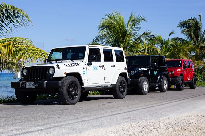 The Original Jeep Tour Revamped by Tortugas Cozumel® (Private) - Tortugas Snorkel Center and Beach Bar: shore snorkeling inside the marine park