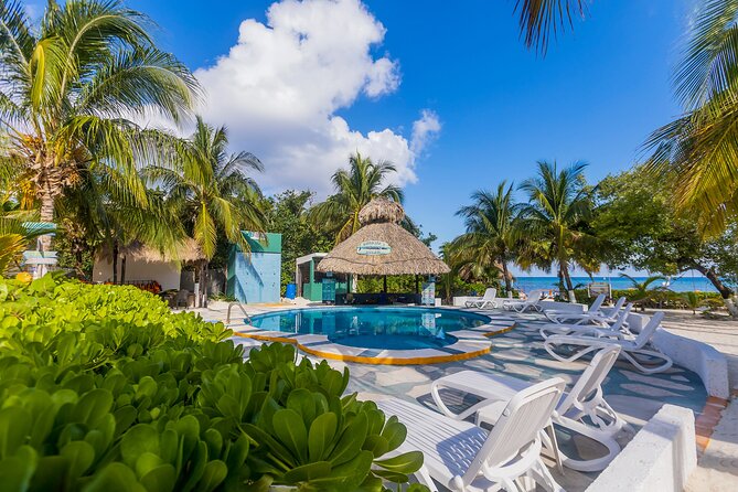Tikinxic Barefoot Fish Guided Cookout Experience in Cozumel - Price and Logistics: What $106 Buys You (and What It Doesn’t)