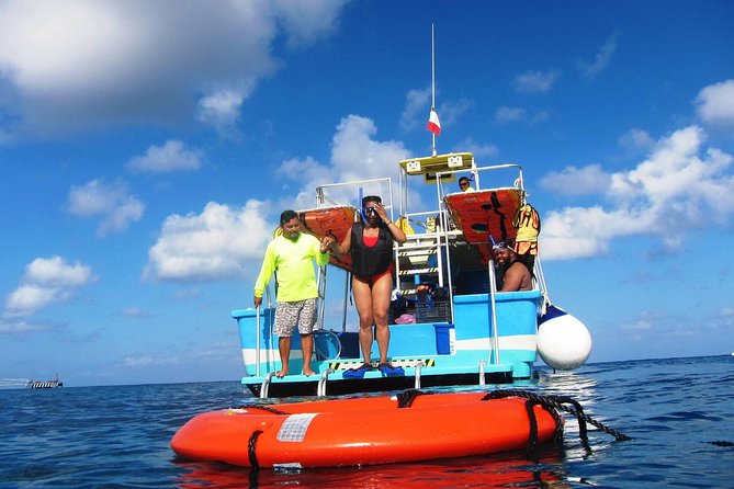 VIP Private Glass Bottom Boat and Snorkeling, 3 Reefs in Cozumel - Stop 2 and 3: Paraiso reef split into shallow and deep