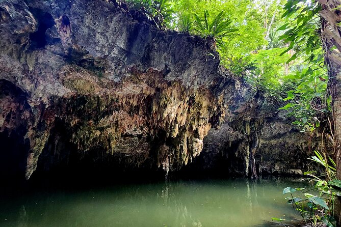 Wild Jade Cavern ATV Tour With Transfer - Tequila Seminar at Mi Mexico Lindo: What You Actually Get